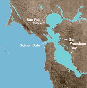 San Fransico Aerial
